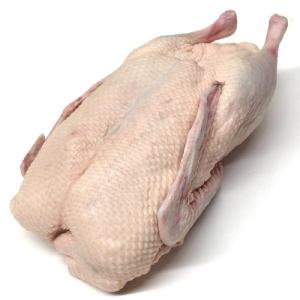 鴨肉（約1.6〜2.1kg）