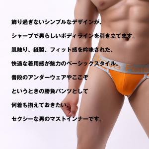 ビキニブリーフ BravePerson/ブレイ...の詳細画像1