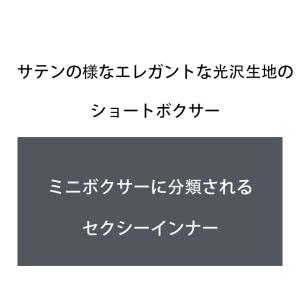 ボクサーパンツ G-Station/ジーステー...の詳細画像4