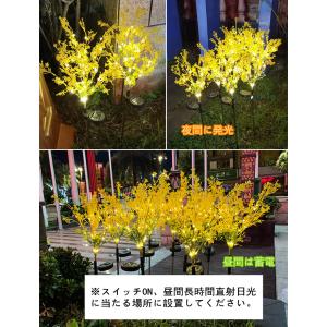 アブラナ ガーデンライト ソーラー 菜の花ライ...の詳細画像1