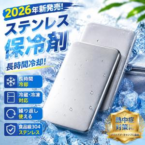 2026年新発売 保冷剤 ステンレス アイスパック 長時間冷却 ステンレス保冷剤 冷蔵冷凍対応 熱中症対策 アウトドア キャンプ 繰り返し使える 爆買 超PayPay祭