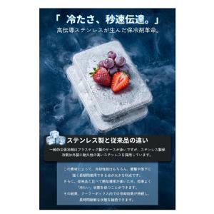 2026年新発売 保冷剤 ステンレス アイスパ...の詳細画像2