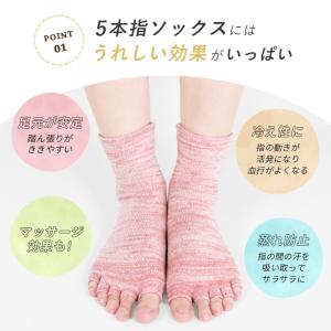 5本指靴下 レディース 綿 コットン 五本指ソ...の詳細画像1