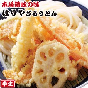 讃岐うどん はりや ざるうどん 2食入(半生麺、箱) 常温保...