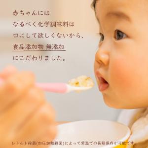 オーガニック離乳食 有機まるごと 無添加 離乳...の詳細画像2