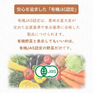 オーガニック離乳食 有機まるごと 無添加 離乳...の詳細画像3