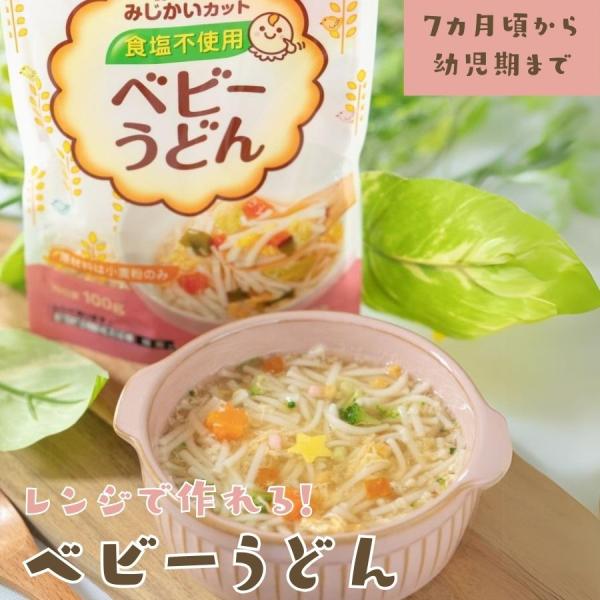 ベビーフード ベビーうどん 100g  離乳食 食塩不使用　乳児用規格適用食品 うどん 麺類