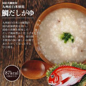 レトルト おかゆ 真鯛の鯛だしがゆ 230g ...の詳細画像2