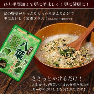 レトルト おかゆ 焼あごだしがゆ 230g 国...の詳細画像4