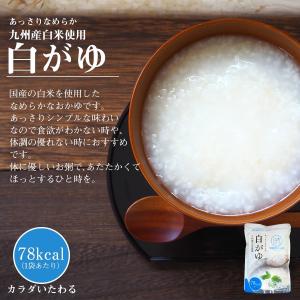 レトルト おかゆ 国産 白がゆ 250g お粥...の詳細画像2