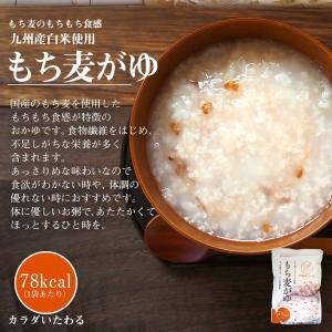 レトルト食品 おかゆ 国産 もち麦がゆ 250...の詳細画像2