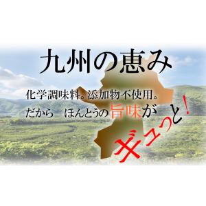 炊き込みご飯の素 九州産 ひじきごはんの素15...の詳細画像1