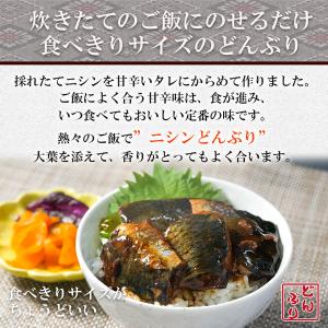 小どんぶりの素 にしん丼の具 80g 丼の素 ...の詳細画像1