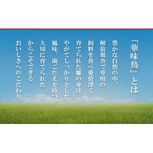 博多華味鳥 ささみ入りチキンカレー 中辛 20...の詳細画像1