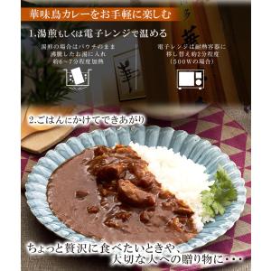 博多華味鳥 ささみ入りチキンカレー 中辛 20...の詳細画像4