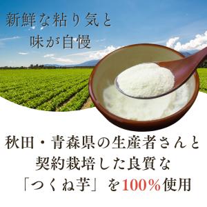 粉末 山の芋パウダー 10g フリーズドライ食...の詳細画像1