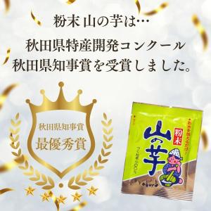粉末 山の芋パウダー 10g フリーズドライ食...の詳細画像2
