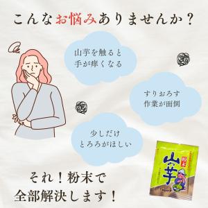 粉末 山の芋パウダー 10g フリーズドライ食...の詳細画像3