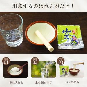 粉末 山の芋パウダー 10g フリーズドライ食...の詳細画像4