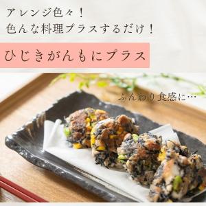 粉末 山の芋パウダー 10g フリーズドライ食...の詳細画像5