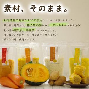 手作り離乳食スープの食材 無添加乾燥野菜 北海...の詳細画像1