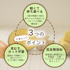 手作り離乳食スープの食材 無添加乾燥野菜 北海...の詳細画像3