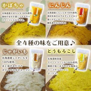 手作り離乳食スープの食材 無添加乾燥野菜 北海...の詳細画像4