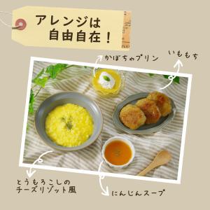 手作り離乳食スープの食材 無添加乾燥野菜 北海...の詳細画像5