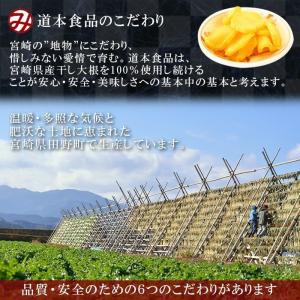 宮崎の焼酎に合う大根漬 缶詰60g入 道本食品...の詳細画像3