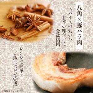 魯肉飯 ルーロー飯 台湾風どんぶりご飯 レトル...の詳細画像2