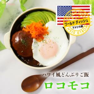 ハワイ風どんぶりご飯 ロコモコ レトルト食品　ワールドディッシュ ポイント消化 利用