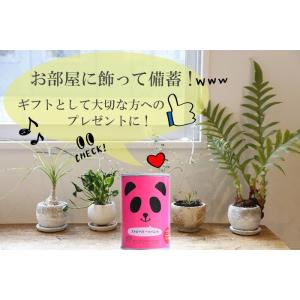パンの缶詰 ストロベリー味 100g 5年長期...の詳細画像4