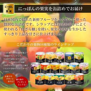缶詰 にっぽんの果実 熊本県産 甘夏みかん 1...の詳細画像1