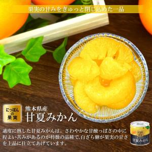 缶詰 にっぽんの果実 熊本県産 甘夏みかん 1...の詳細画像2