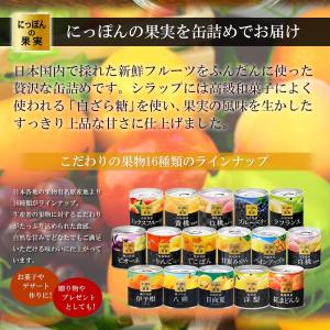 缶詰 にっぽんの果実 瀬戸内産 八朔 190g...の詳細画像1