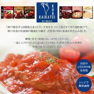 【コンバート用】レトルト惣菜 和と洋の惣菜詰め...の詳細画像2