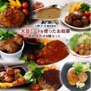 レトルト食品 大豆ミート惣菜 9種セット 三育フーズ 食物性高タンパク質