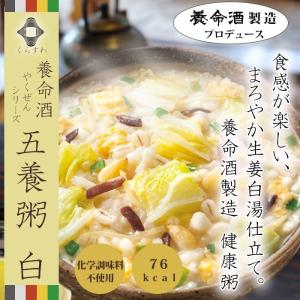 Lashiku（ラシク） 公式 再春館製薬所 体においしい薬膳スープ粥 10箱