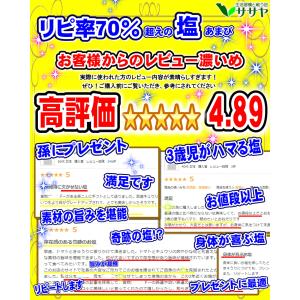 公式 塩 あまび 天日平釜塩 国産 120g ...の詳細画像2