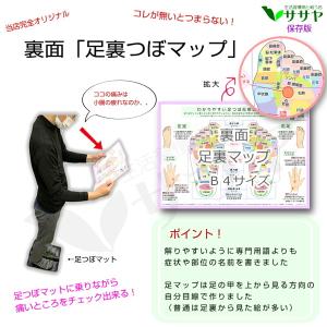 足つぼ 図解 ツボマップ 1枚 足裏 反射区 ...の詳細画像2
