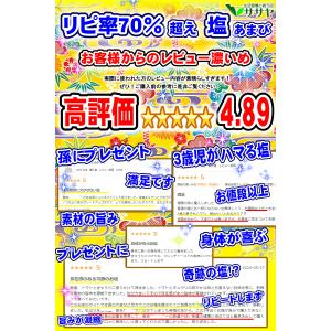 公式 塩 あまび 塩好きおすすめしたい塩 天然...の詳細画像2