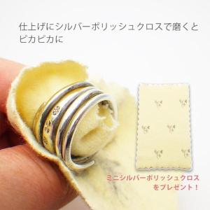 シルバークリーナー 液体 洗浄液 ハガティ シ...の詳細画像4