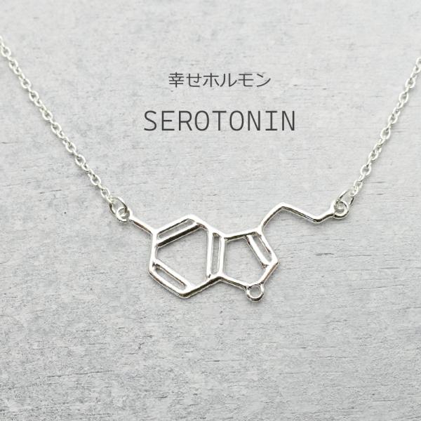 ネックレス 化学式 セロトニン レディース アクセサリー シルバー925 アレルギー対応 サイエンス...