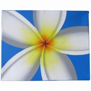 プルメリアの絵 ピンク 42X52 絵画 花の絵 リゾート ハワイアン