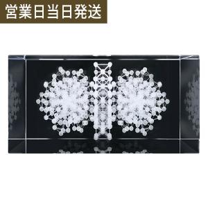 ユニカ 模型 ミスマルノタマ X 3Dカバラ 丸山医師監修 開運 神器 : MWJ