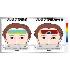 電磁波防止グッズ 丸山式 コリドラネックレス ...の詳細画像3