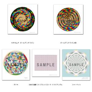 クスリエ お試しセット 小サイズ 11枚入 ク...の詳細画像2