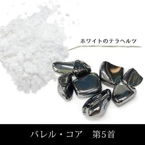 カタカムナ バレル・コア 医学博士 丸山式 丸...の詳細画像5
