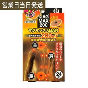 マグマックス Ban 0 24粒入 管理医療機器 血行改善 Magmax At Mwj Tokyo 通販 Yahoo ショッピング
