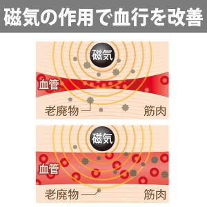 磁気ネックレス マグラックEX 肩こり 首コリ...の詳細画像5